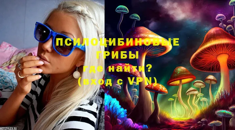 купить наркоту  Горняк  Галлюциногенные грибы Magic Shrooms 